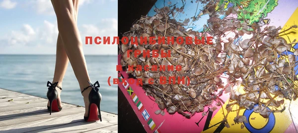 ешки Верея