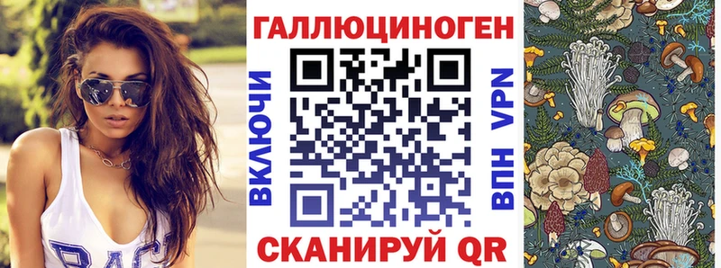 mega маркетплейс  Елец  Псилоцибиновые грибы мицелий  наркота 